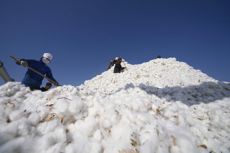 美国农业主产区出现严重干旱 棉花小麦等可能大幅减产
