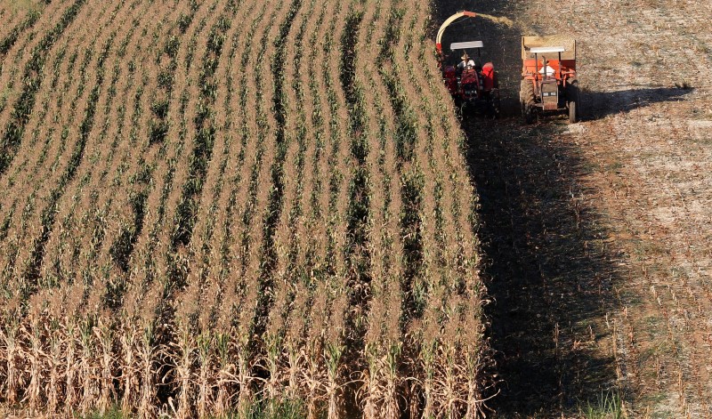 期货 - 美国种植快速进展，玉米期货跌至6个月低点