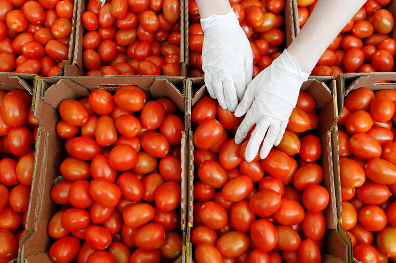 美国通胀再创40年新高，一斤番茄要卖36元，市民：“这很荒谬” 提供者时代周报
