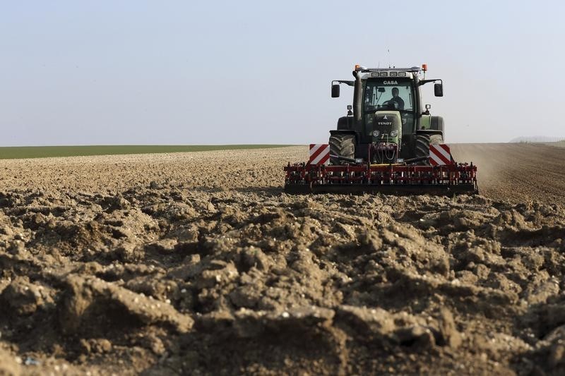 俄罗斯称无意阻拦乌克兰谷物出口，三大农产品期货全线走低