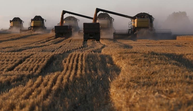 黑海地区粮食供应风险升级 小麦期货涨超4%