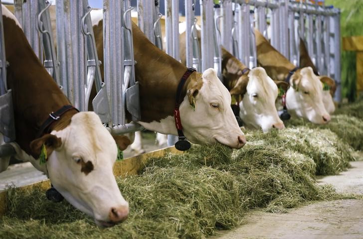 美国食品巨头涉嫌操纵牛肉价格？参议员要求FTC发起调查