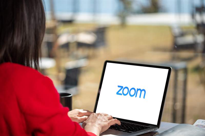 Zoom视频等热门股票遭遇年尾抛售