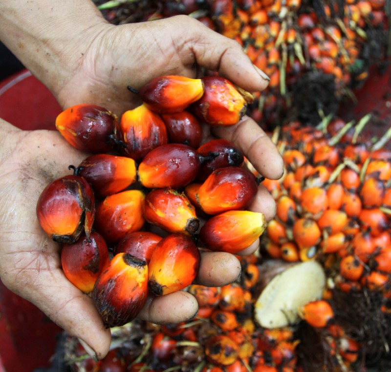 印尼据称将放宽食用油出口禁令 棕榈油价格从高位回落