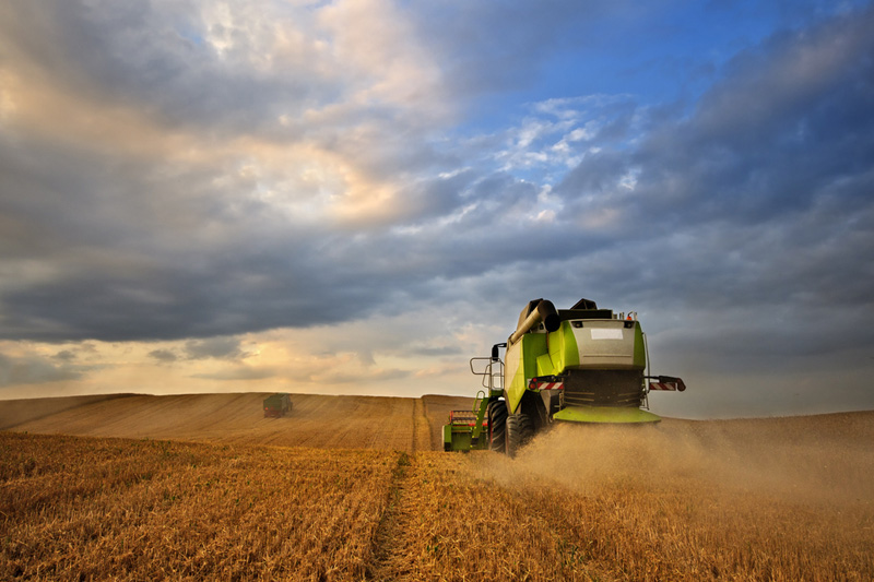 美国小麦、玉米期货从多月低点回升